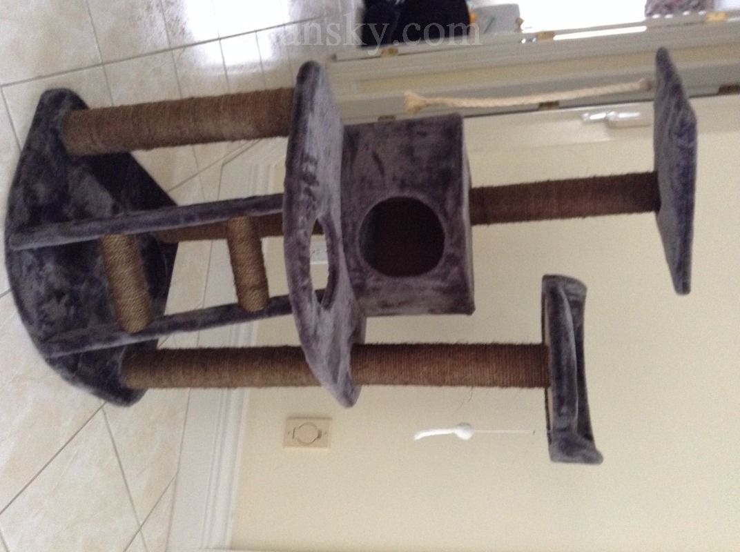 201228222802_image (7).jpeg